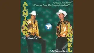 Falsa Illusion