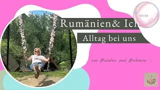 Leben in Rumänien, Sommer 2025: Hunde, 30 Hühner & echtes Landleben | Gartenjournal 2026