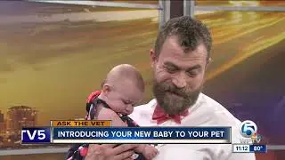 Tips on introducing your new baby to your pet