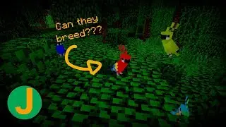 7 Things You Didn't Know About Parrots in Minecraft | Jackzy