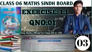 Class 6 Math | Chapter 1 Sets | Exercise 1.1 Question 1 (Complete Solution)