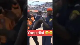 li niaww na #yawoudial#senegal #luttes&eacute;n&eacute;galaise #lutte_avec_frappe #lamb #cng #dougarhorizon