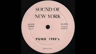 PUNK 1980&rsquo;S Side A * Sound Of New York Records JGL3712