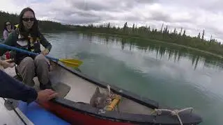 Takhini River by Robfin canoe