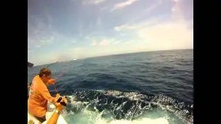 CatchStat | IGFA Offshore World Championship Fish#9454