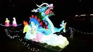 WFOL Light Displays