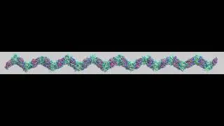 Relaxation dynamics of alternating superpolymer fibril formed by thiopnene-
