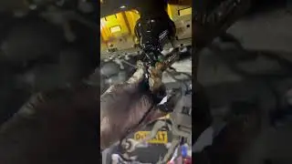 2008 BMW 528i oil pressure light coming on with codes 2A87 Vanos Outlet, 2A82 Vanos inlet!