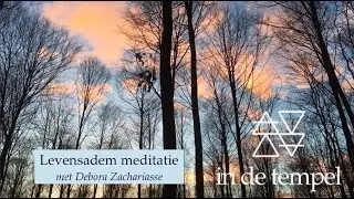15 minuten meditatie: ontspannende levensadem
