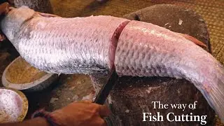 Giant Mrigal Fish 😱 | Most Satisfying Fish Cutting in Bangladesh Fish Market