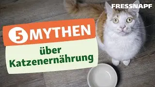 Top 5 Ernährungsmythen bei der Katze
