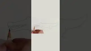 Crocodile drawing #shorts #youtubeshorts #shortvideo #ytshort