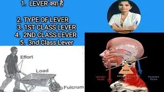 1️⃣ “Lever Biomechanics Explained | First, Second, Third Class Levers | Human Body Anatomy”