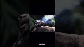 BOMBIEDIR BEETLE AND ITS ACID BUTT GUN FACT