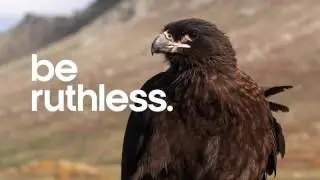 BBC EARTH VIVID