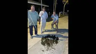 Flounder Gigging Adventures under the St. Augustine Starlight