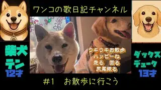 歌日記＃1　お散歩に行こう　いつものお散歩を歌にしました