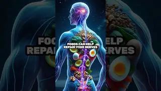 Top 7 Best Foods That Repair Nerves Naturally | Nerve Healing Foods You Should Eat! #NerveRepair
