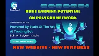 Stable Fund | Huge Earning Potential | New Website and More | Polygon Matic Network