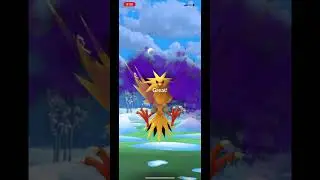 Hello shiny shadow Zapdos! #pok&eacute;mongo