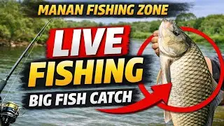 !Today's target: 200 fish!!🐬Sea fishing 🎣🎣