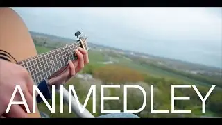 Anime Medley on Acoustic Guitar - Can You Guess Them All?