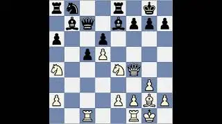 Garry Kasporov vs Dutch Girt Lingerton 1980 Malta Chess COmmentary clip2296