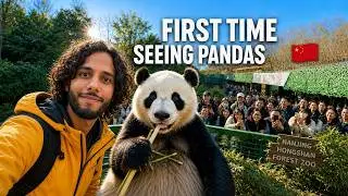 🇨🇳 Inside China’s Most Crowded Zoo 😳｜南京红山森林动物园