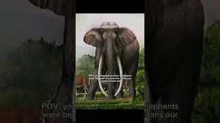 Palaeoloxodon is an extinct genus of elephant   #oldearth #dinosaur #prehistoric