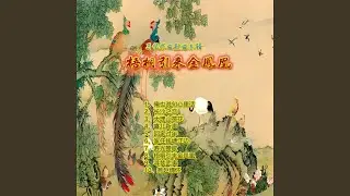 寻梦武夷