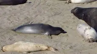 Basking in the Sun