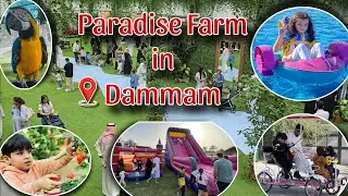 5 Things You Must Experience at Paradise Farm Dammam in Saudi Arabia