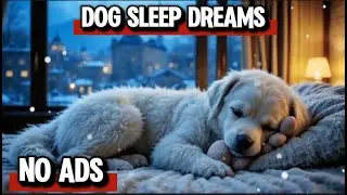 12 Hours of Dog Calming Music for Dogs 🐶 Separation Anxiety Relief Music 🎵 Dog Sleep Music 💖 No Ads