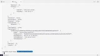 Using the Hookdeck CLI in Docker with a custom network