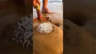 You haven't seen this brain coral #shortsfeed #ytshorts #shorts