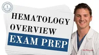 PANCE Review: Hematology Overview + Key Concepts for Success