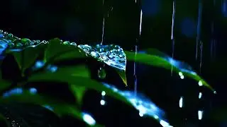 Relaxing Rain and Gentle Instrumental for Stress Relief
