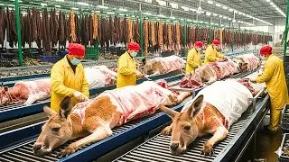 How Leather Kangaroo Shoes Are Made | Inside Exotic Leather Factory | Complete Process (AI) 4k 2026