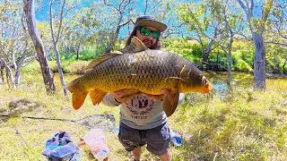 Invasive Fish DESTROYING This Australian River | Here's Why