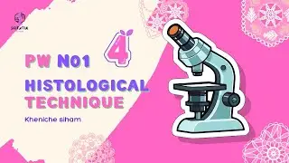 Practical Work N&deg;02  : The Light Microscope, Histological Technique (part 4).
