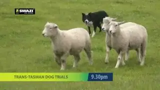 Country TV Voiceover by VideoVoiceover.co.nz