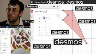 How to Use the Polygon Tool in Desmos