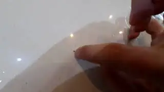 Combating Fleas #5 - Killing fleas using high heat