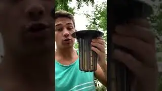 Misplaced Termite Bait Station