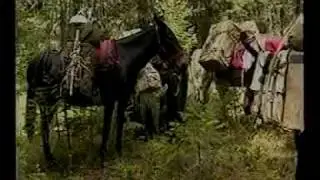 Horse Sense: руководство по минимальному воздействию на лошадей во время кемпинга7