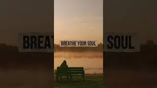 Heal the Cracks You Never Show ✨ Ambient Pop