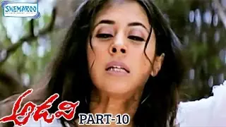 Adavi Telugu Full Movie | Urmila | Sunil Shetty | RGV | Jungle | Part 10 | Shemaroo Telugu