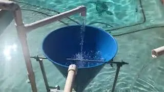Jessebunga Bay 2022 Mini Waterpark #48
