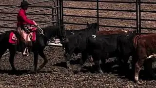 Amiguito 2020 Piceance-East Douglas Mustang