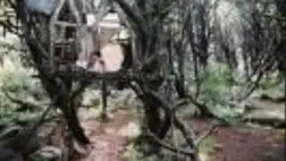 bridge to terabithia - love story taylor swift